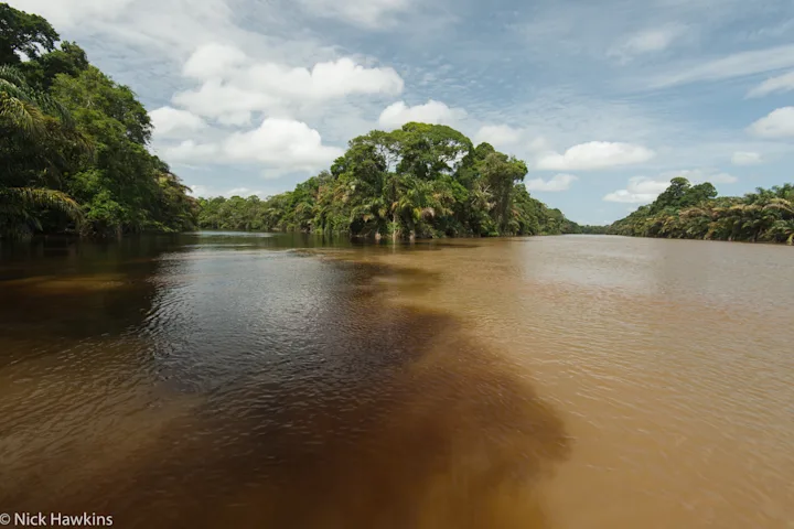 Szenenbild zu Patrol - Auf Patrouille durch den Regenwald
