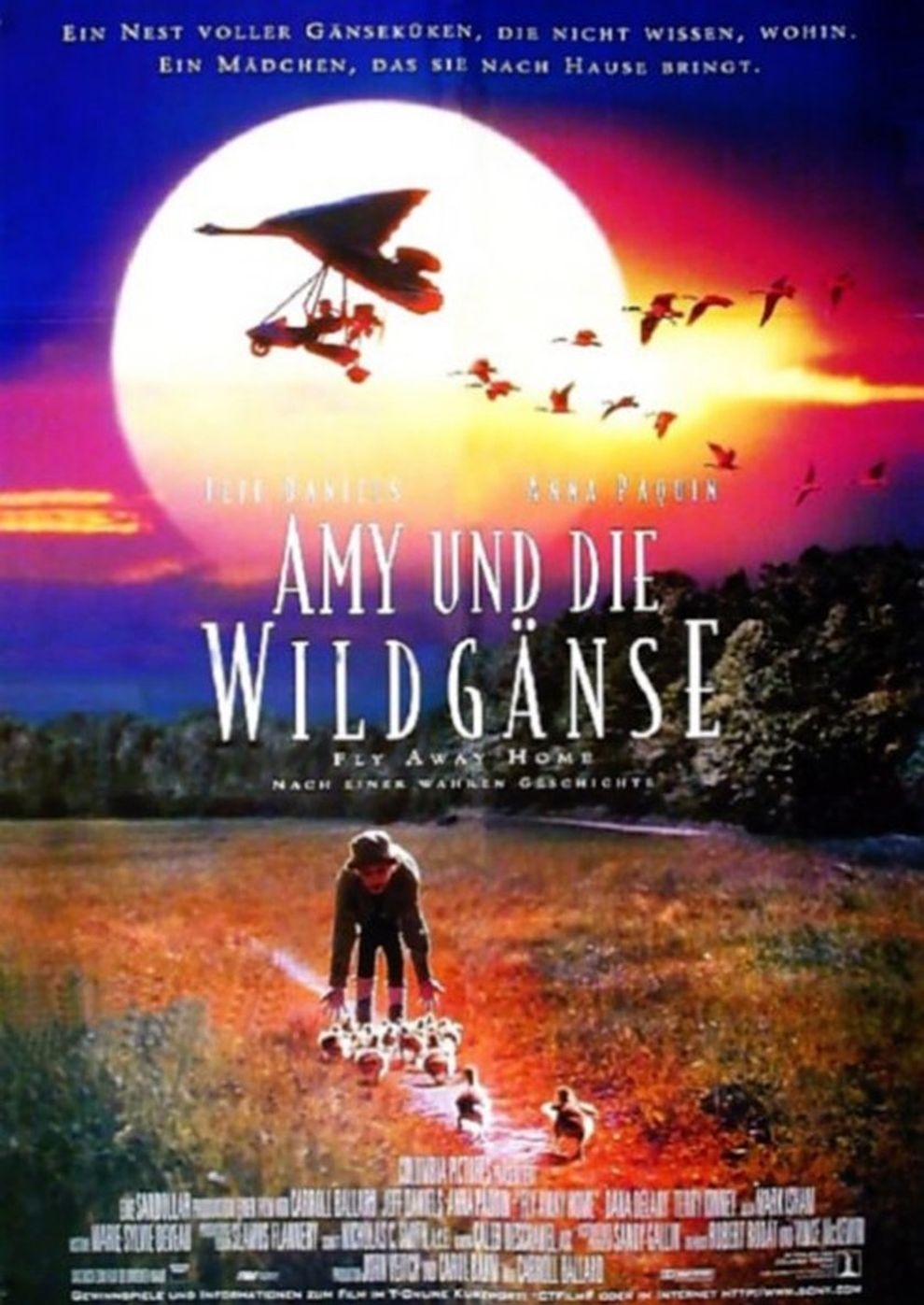 Filmplakat zu Amy und die Wildgänse