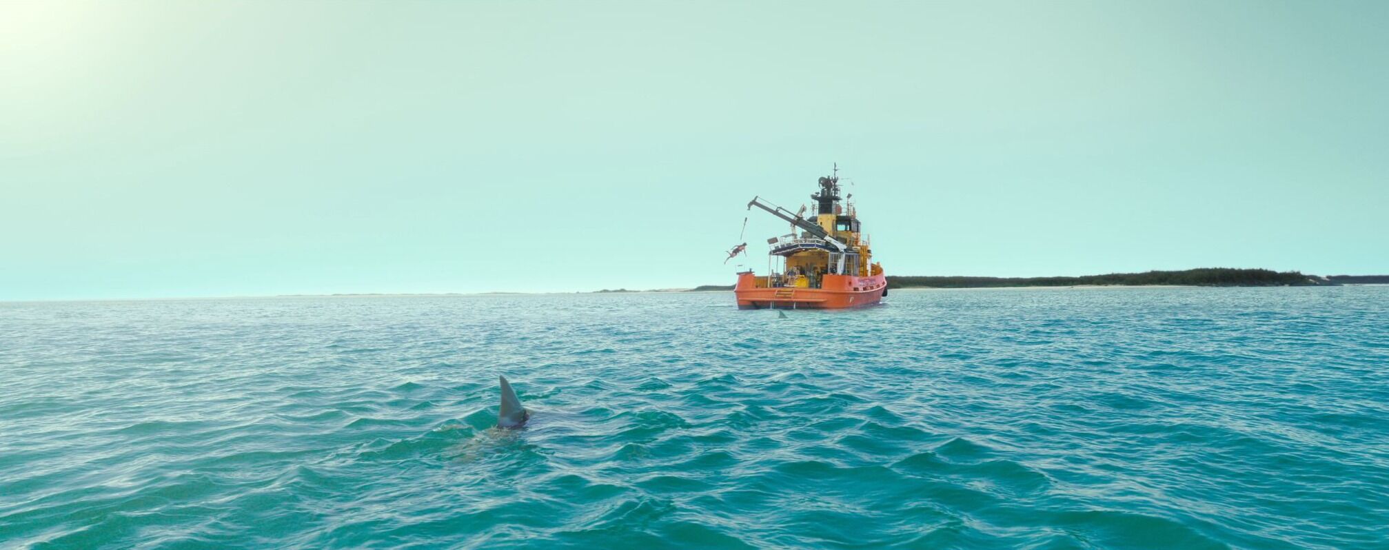 Szenenbild zu Dangerous Animals