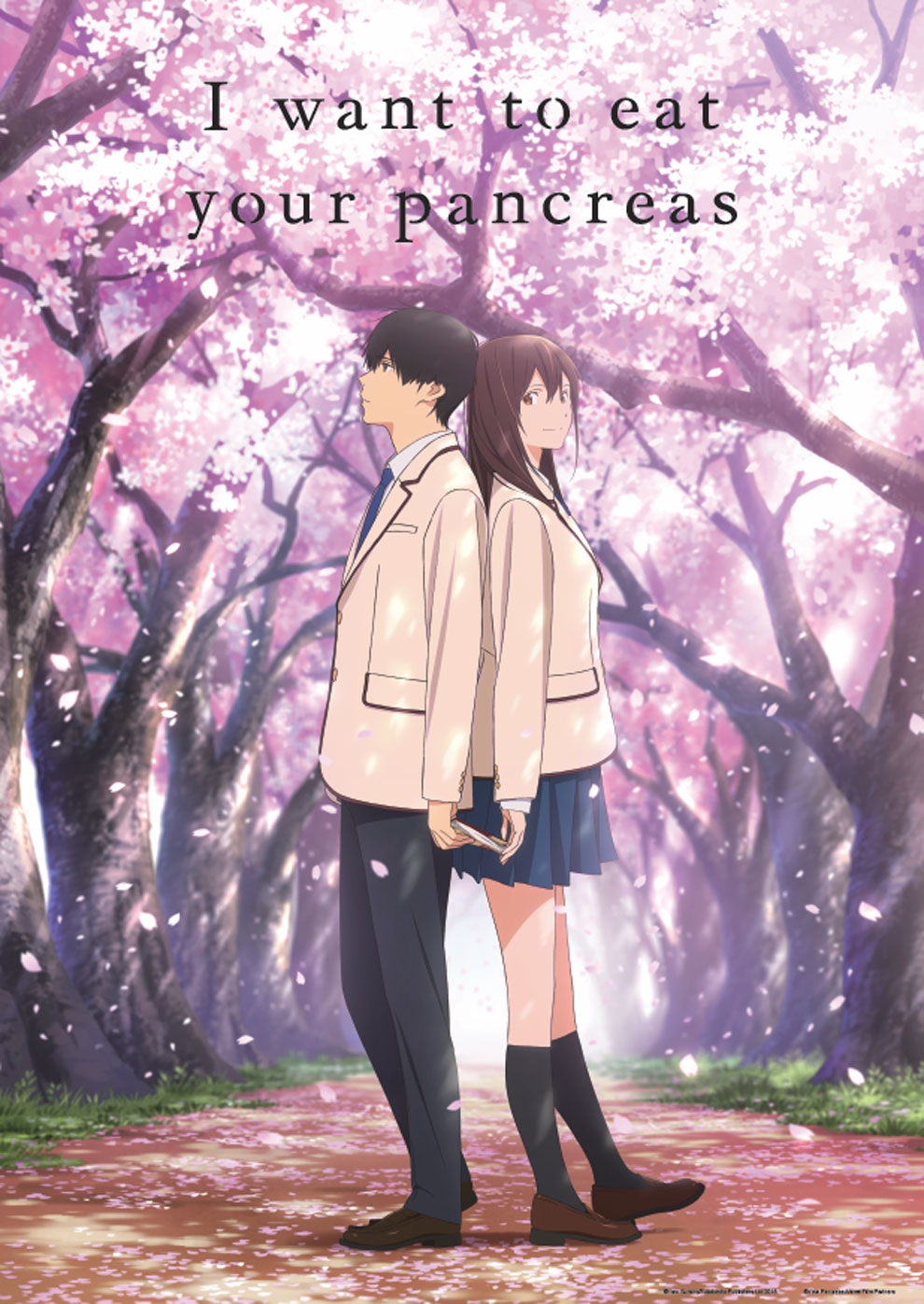 Filmplakat zu I want to eat your pancreas
