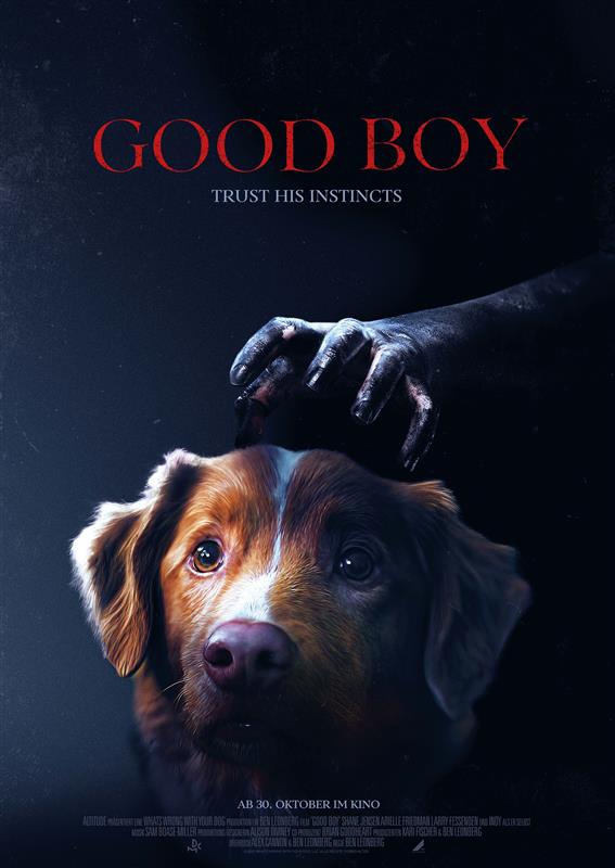 Filmplakat zu Good Boy - Trust his instincts