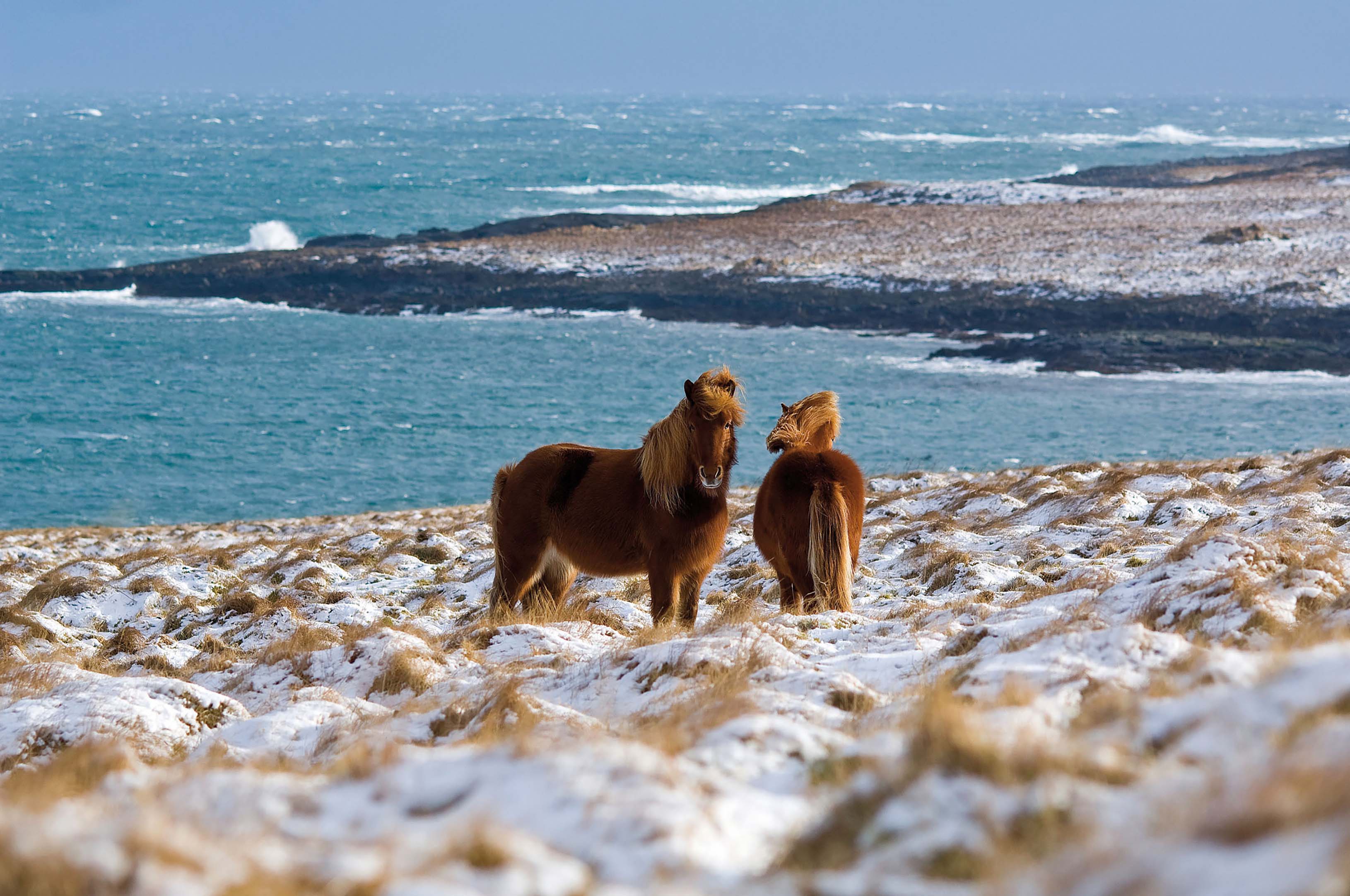 Szenenbild zu Island 63 66 N (Livekommentar)