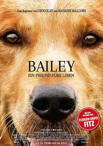 Filmplakat zu Bailey - Ein Freund fürs Leben