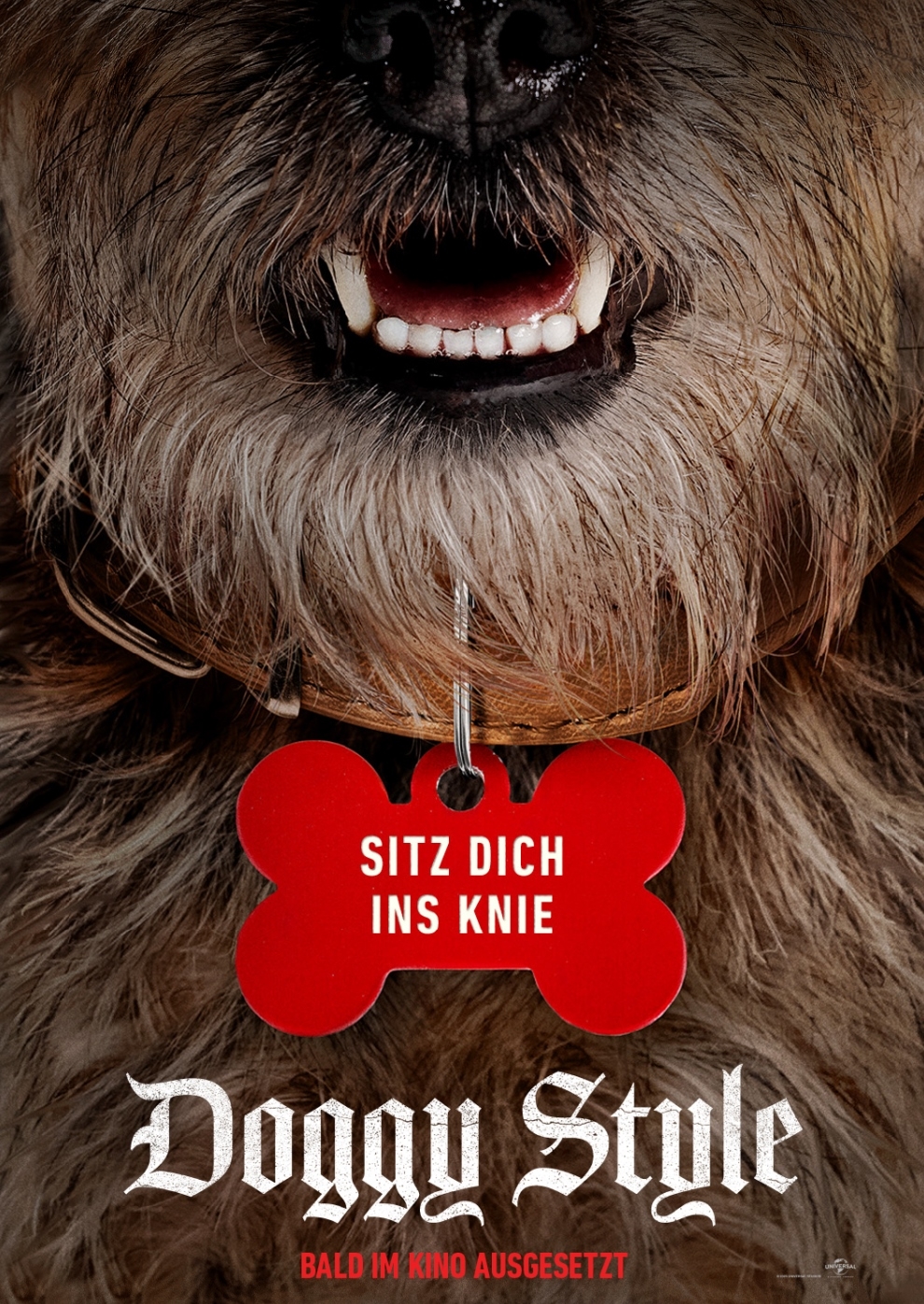 Filmplakat zu Doggy Style
