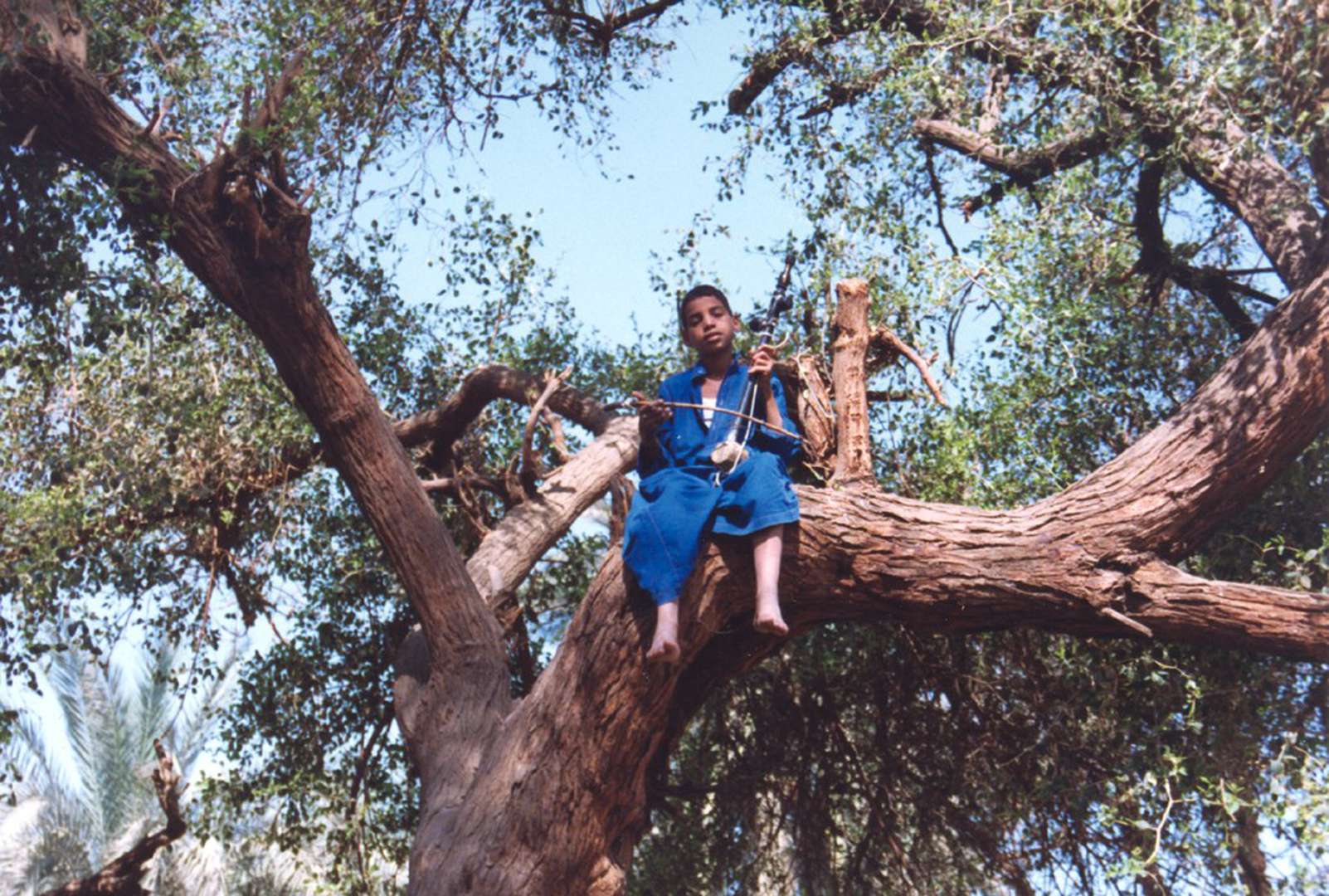 Szenenbild zu Latcho Drom - Gute Reise