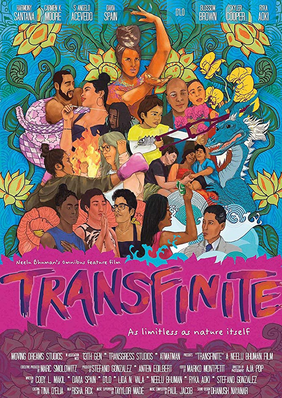 Filmplakat zu Transfinite