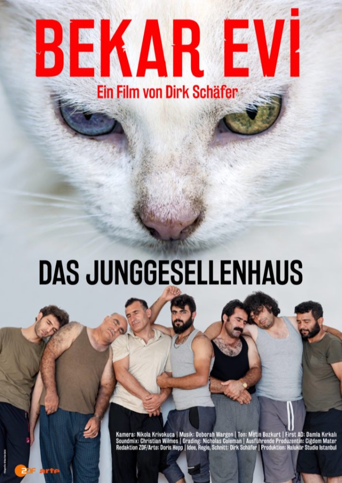 Filmplakat zu Bekar Evi - Das Junggesellenhaus