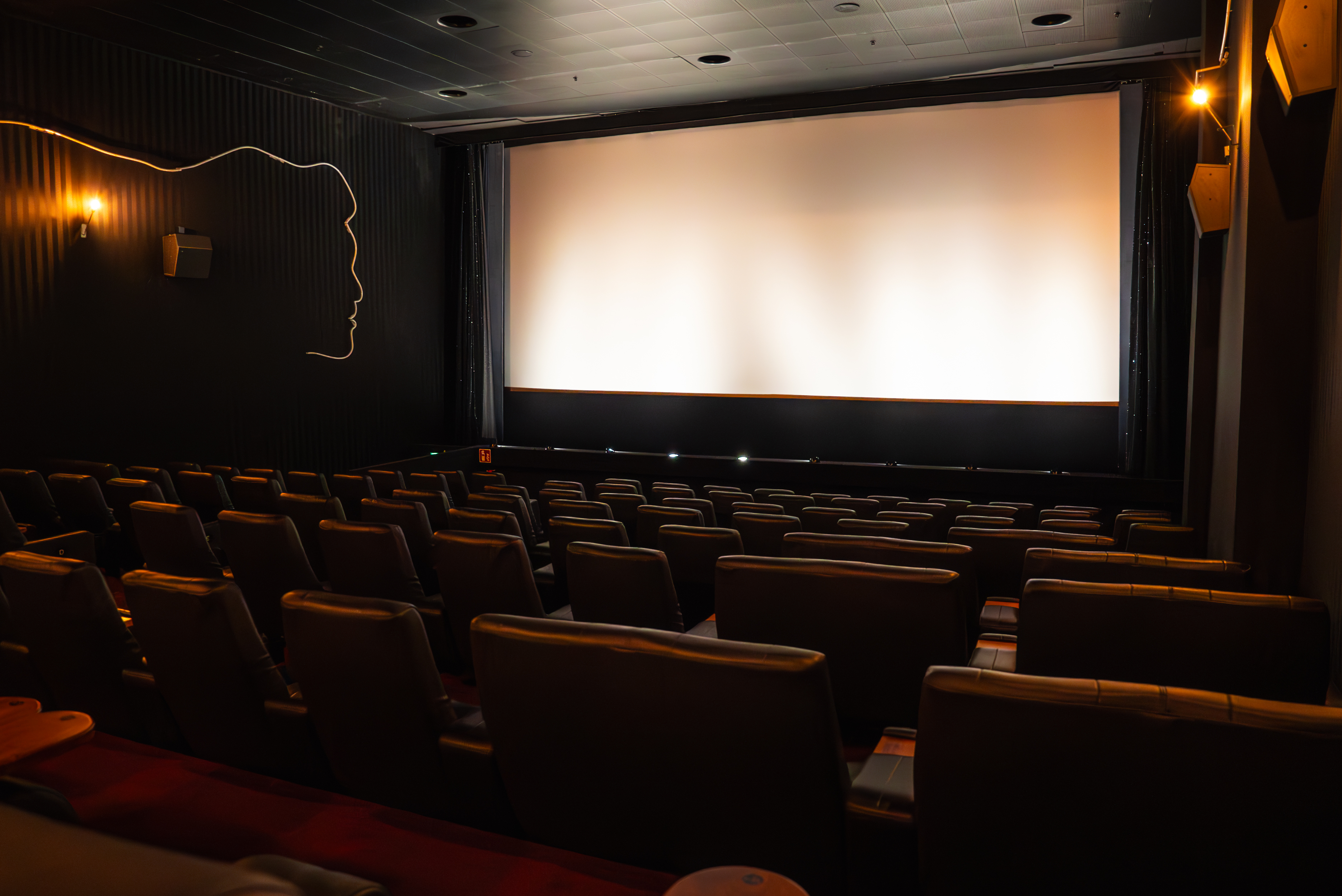 Bild Paderborn Saal 5 Leinwand