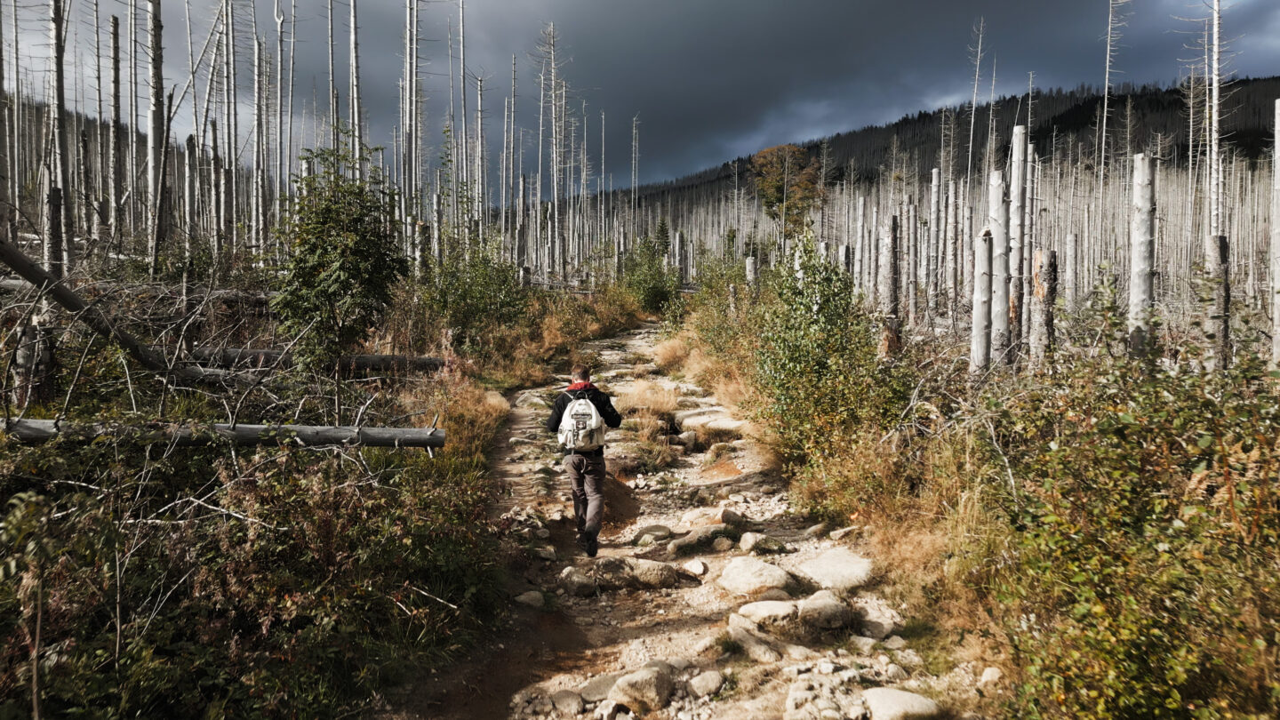 Szenenbild zu Das Gewicht der Welt