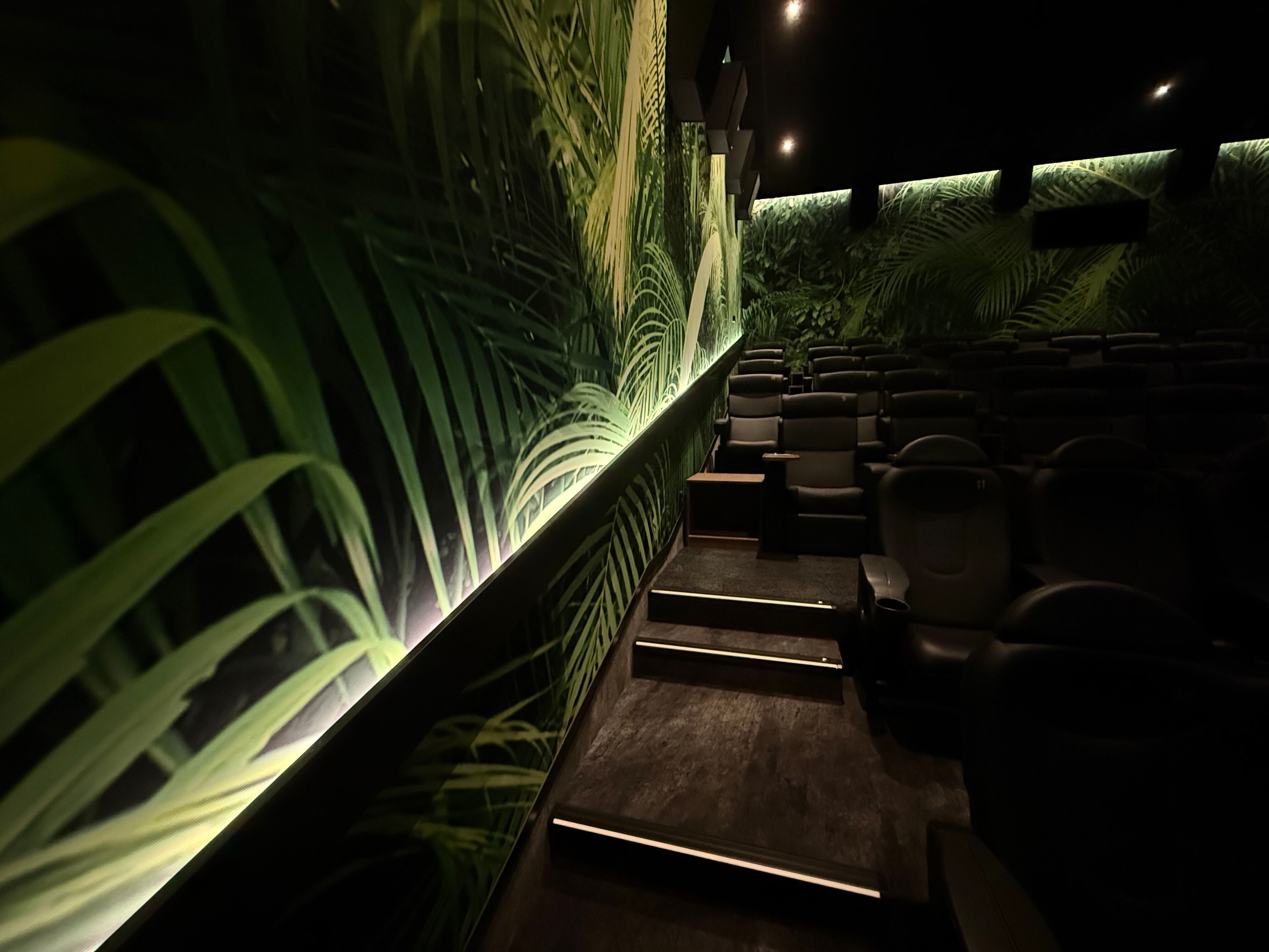 Kino 1 Limburg Detail 1