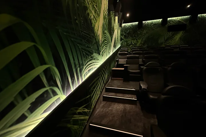 Kino 1 Limburg Detail 1