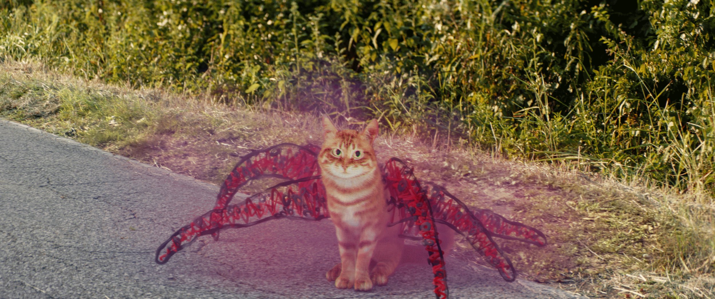 Szenenbild zu Sketch