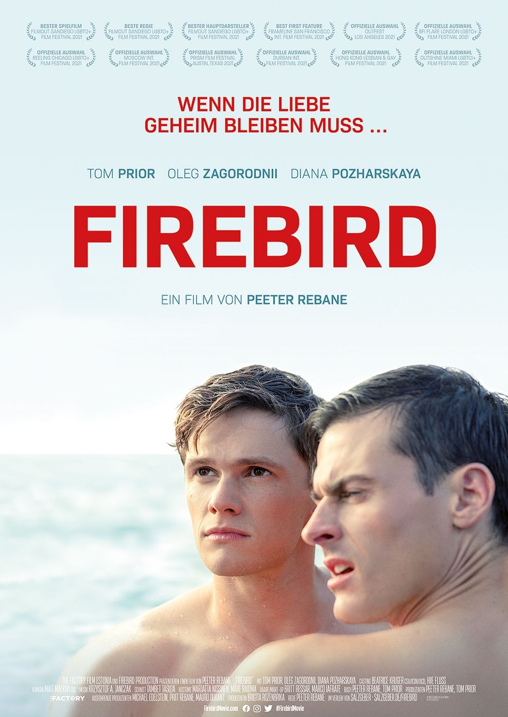 Filmplakat zu Firebird