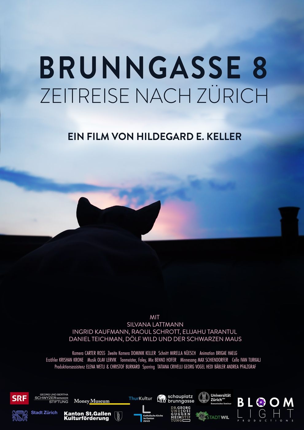Filmplakat zu Brunngasse 8