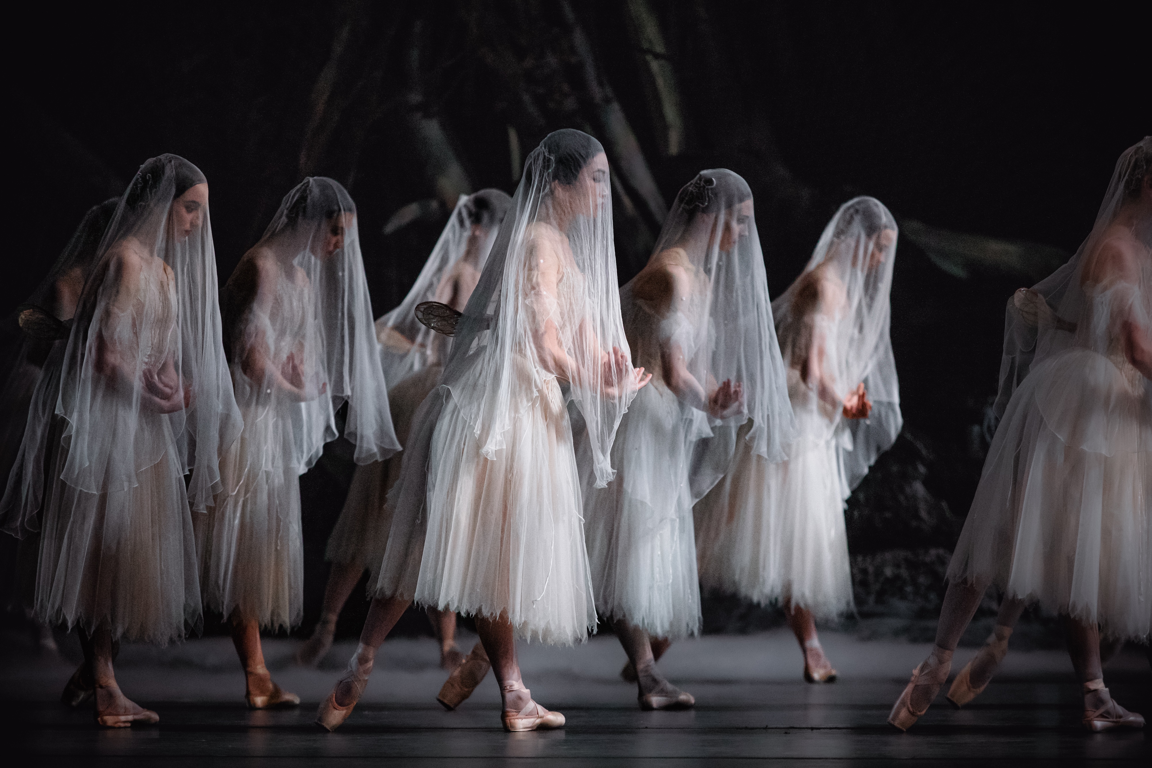 Szenenbild zu RBO 2025/26: Giselle (Royal Ballet)(Aufz.)
