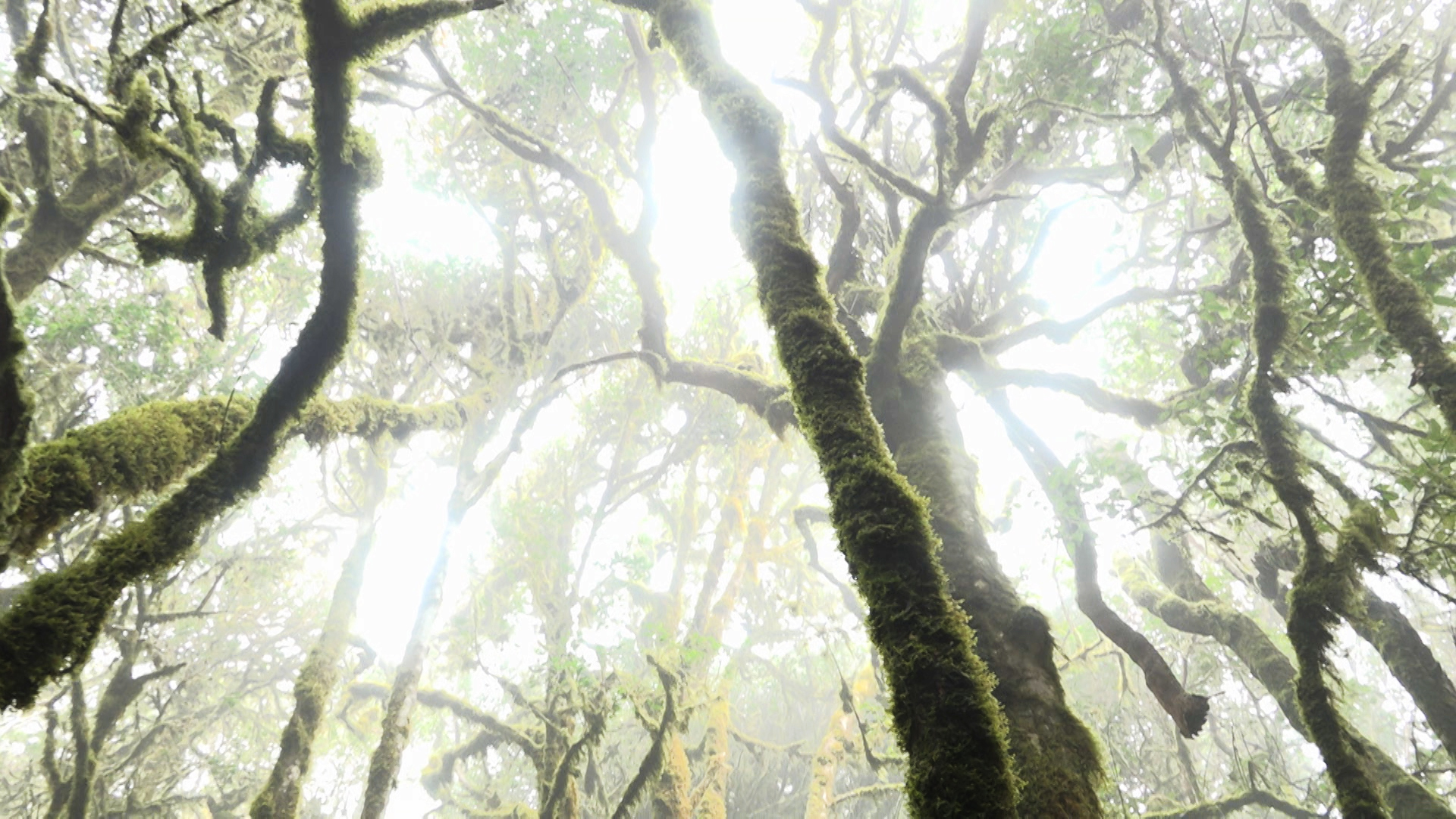 Szenenbild zu While the Green Grass Grows