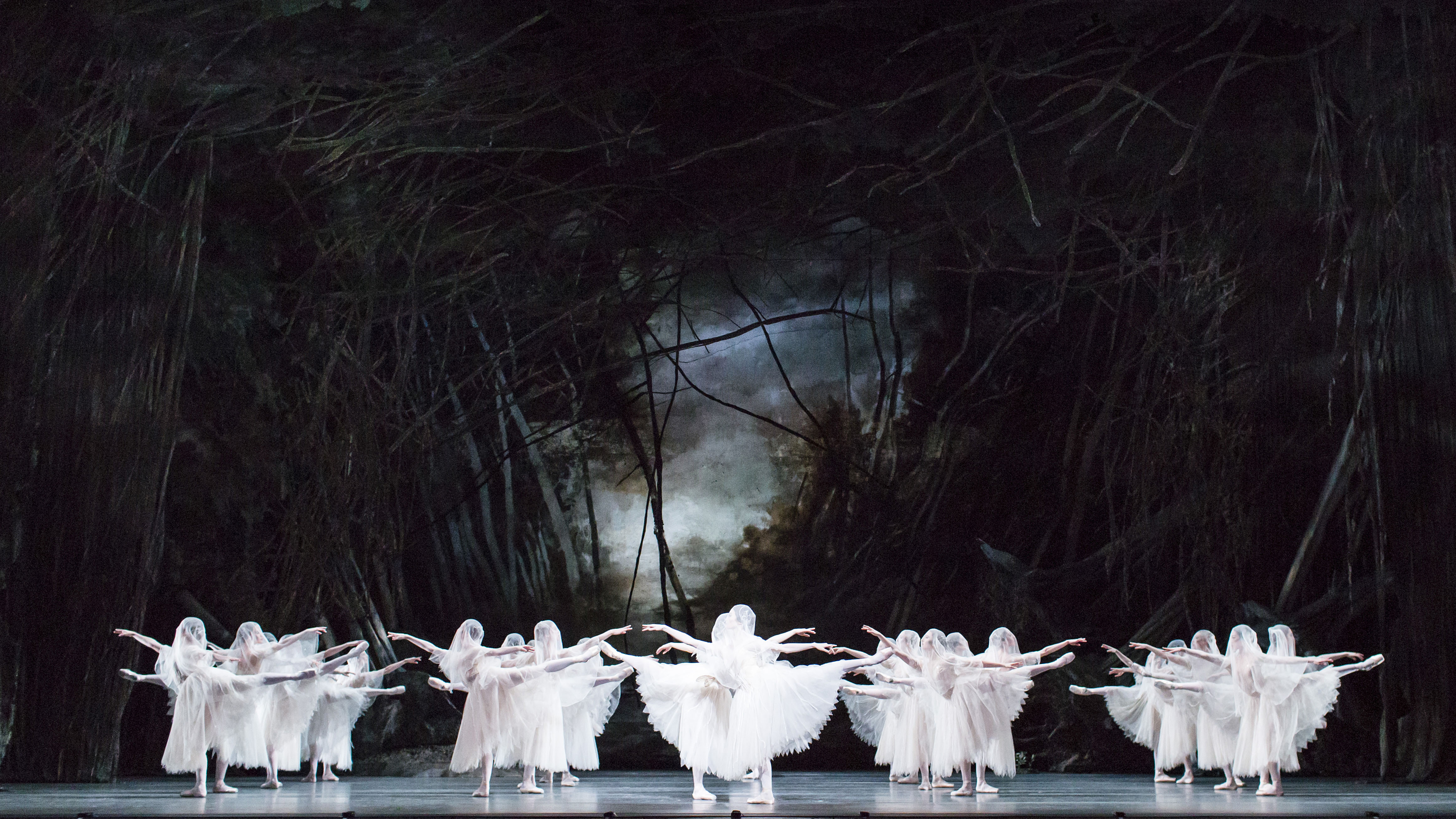 Szenenbild zu RBO 2025/26: Giselle (Royal Ballet)(Live)