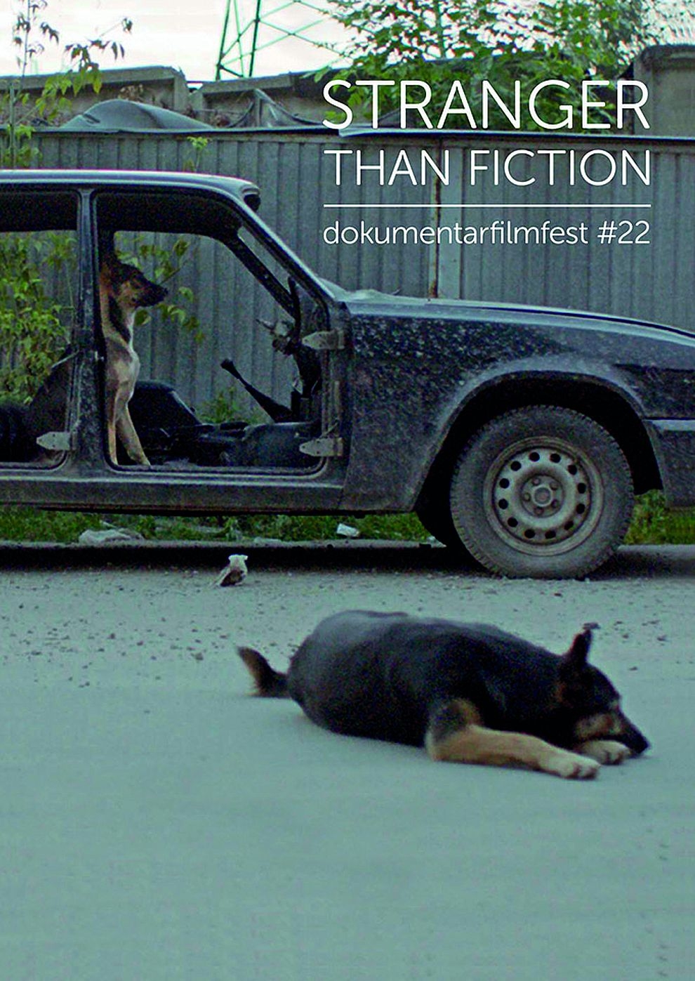 Filmplakat zu Die Verwandlung