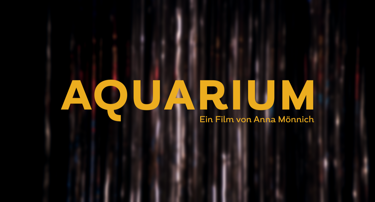 Szenenbild zu Aquarium