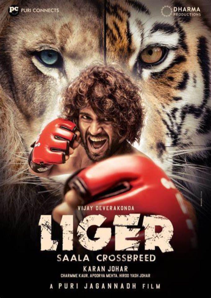 Filmplakat zu Liger