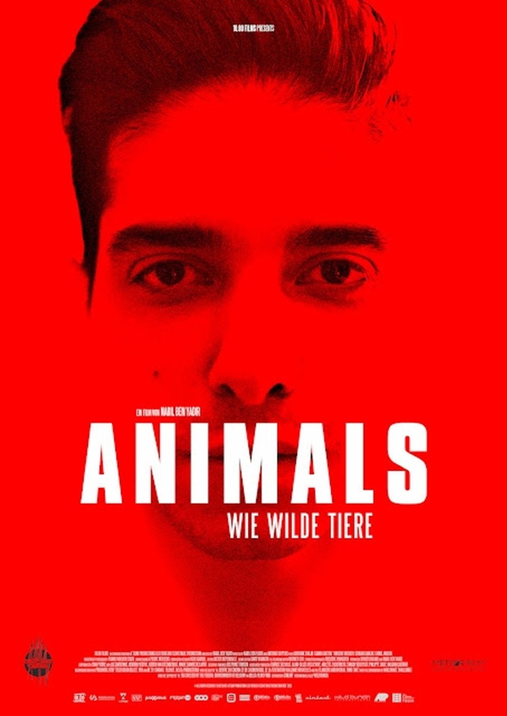 Filmplakat zu Animals