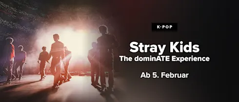 Stray Kids The dominAte Experience am 5. und 7. Februar