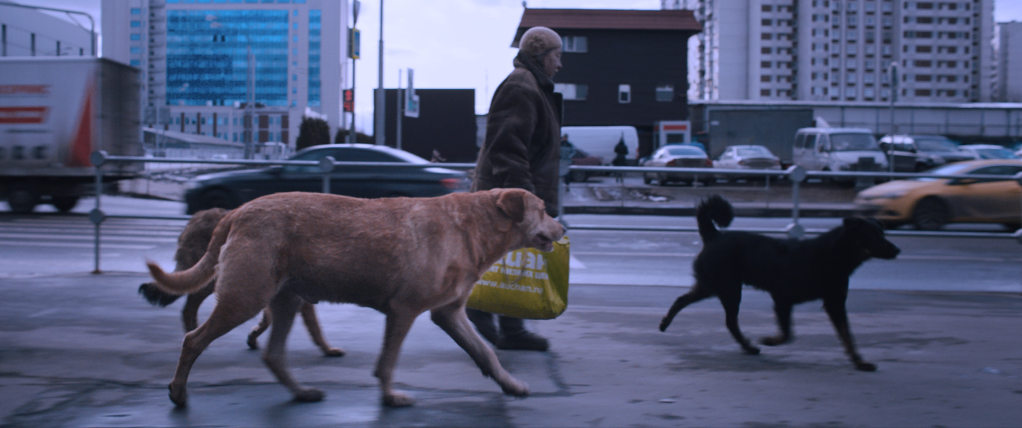 Szenenbild zu Dreaming Dogs