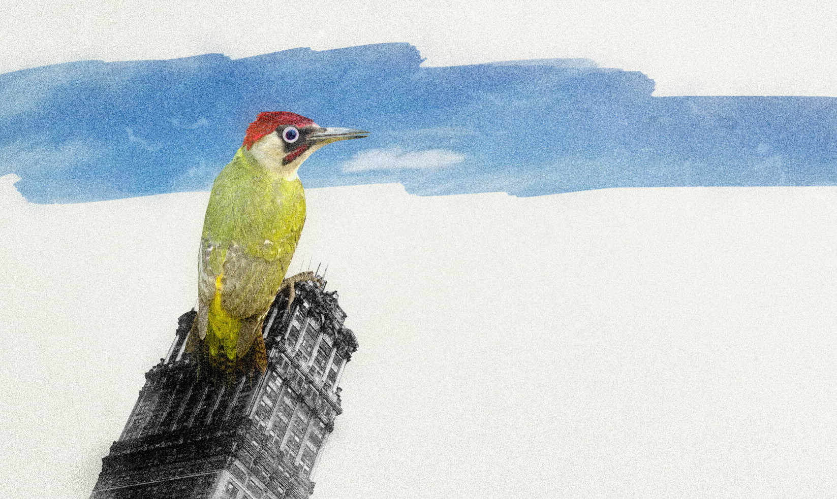 Szenenbild zu Shorts Attack 2026: Prima Klima