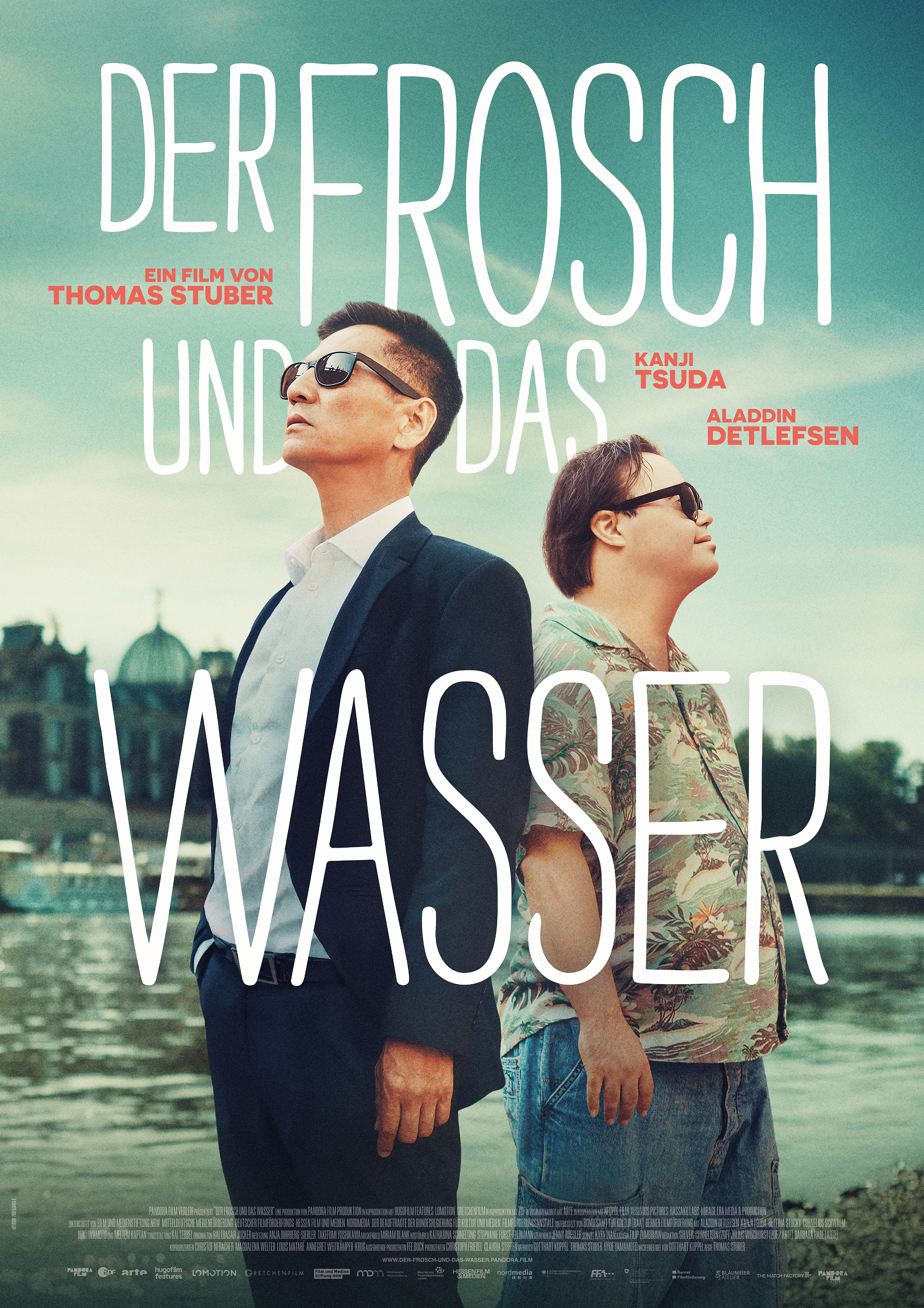Filmplakat zu Der Frosch und das Wasser