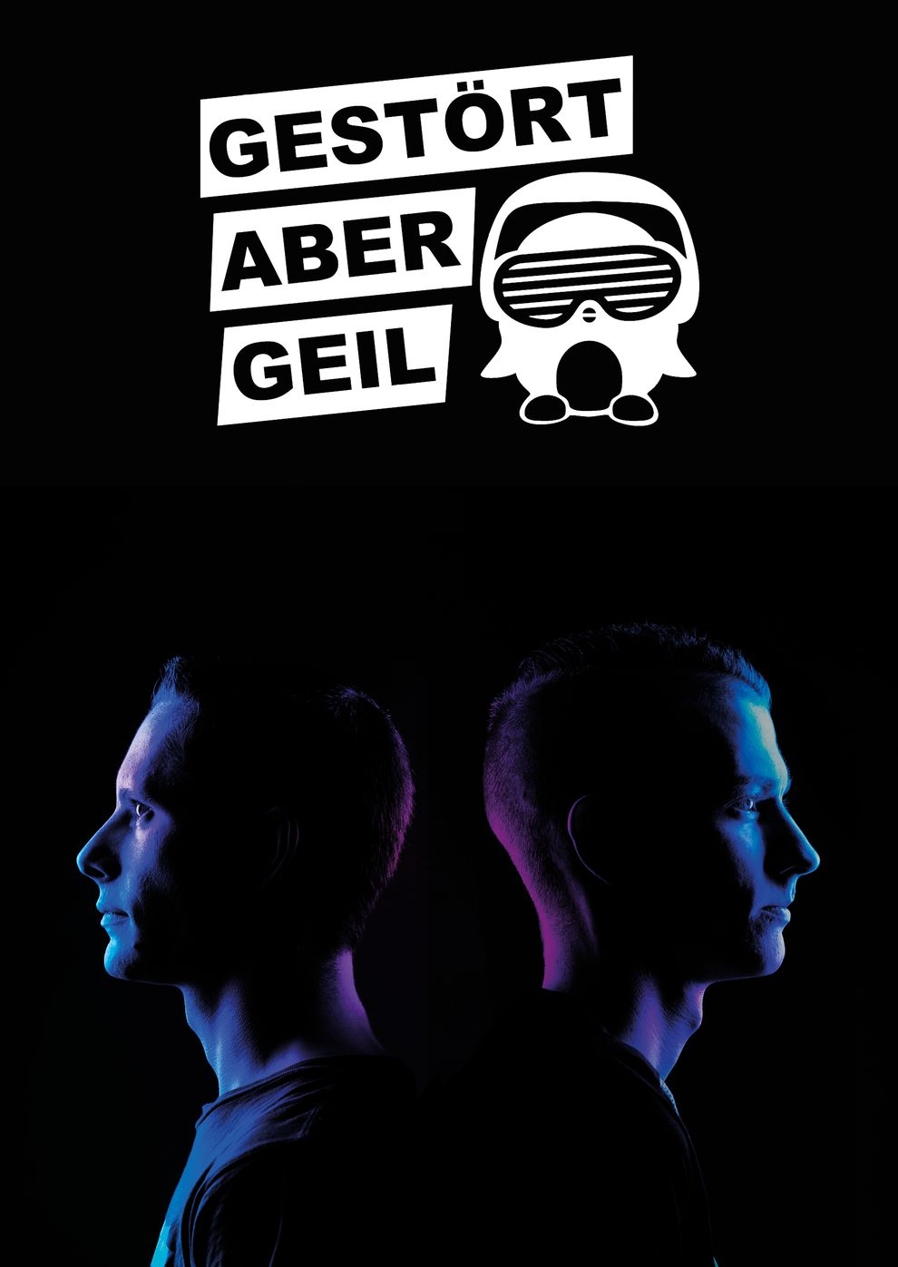 Filmplakat zu Gestört aber Geil