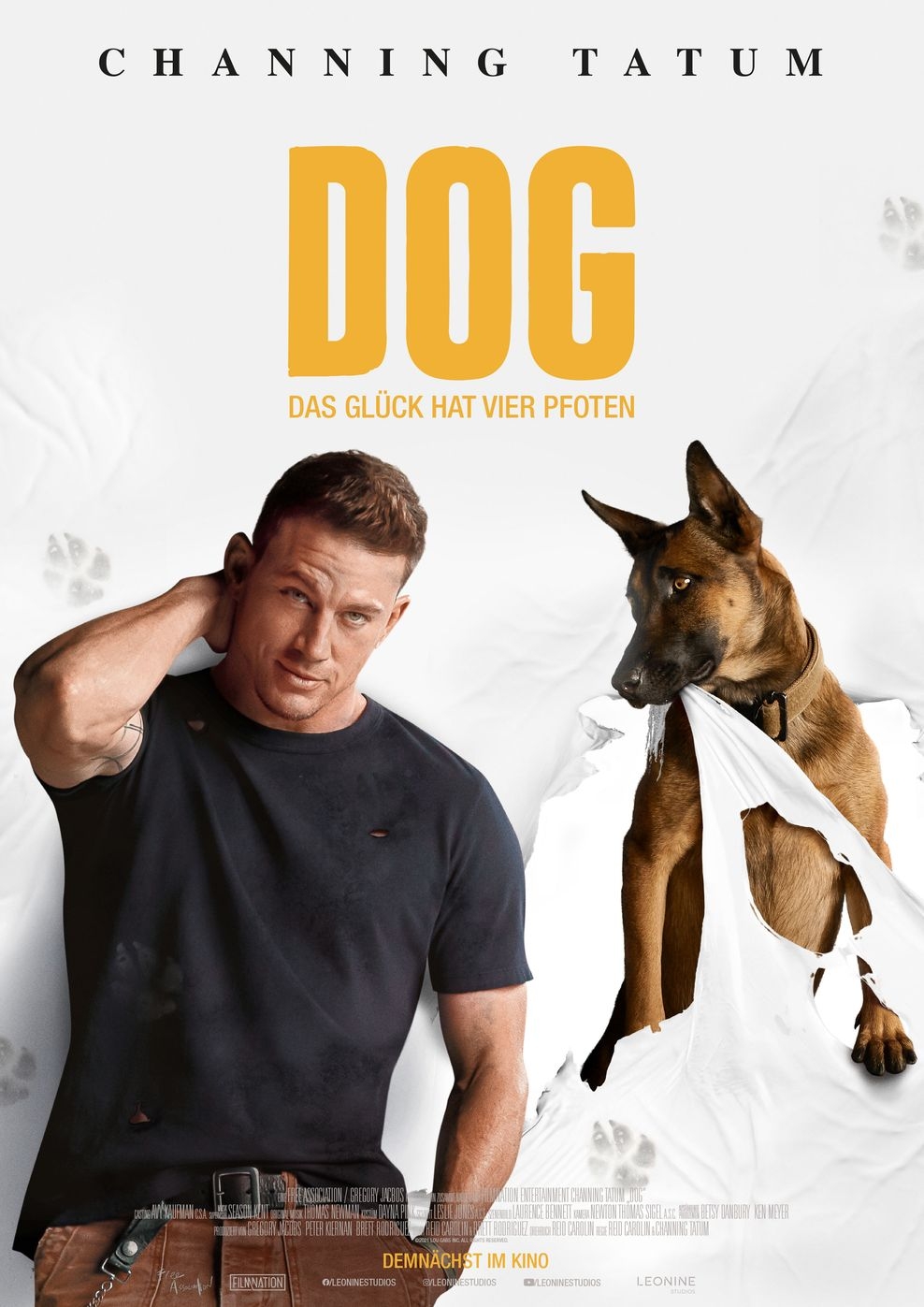 Filmplakat zu Dog - Das Glück hat vier Pfoten