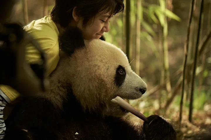Szenenbild zu Moon, der Panda