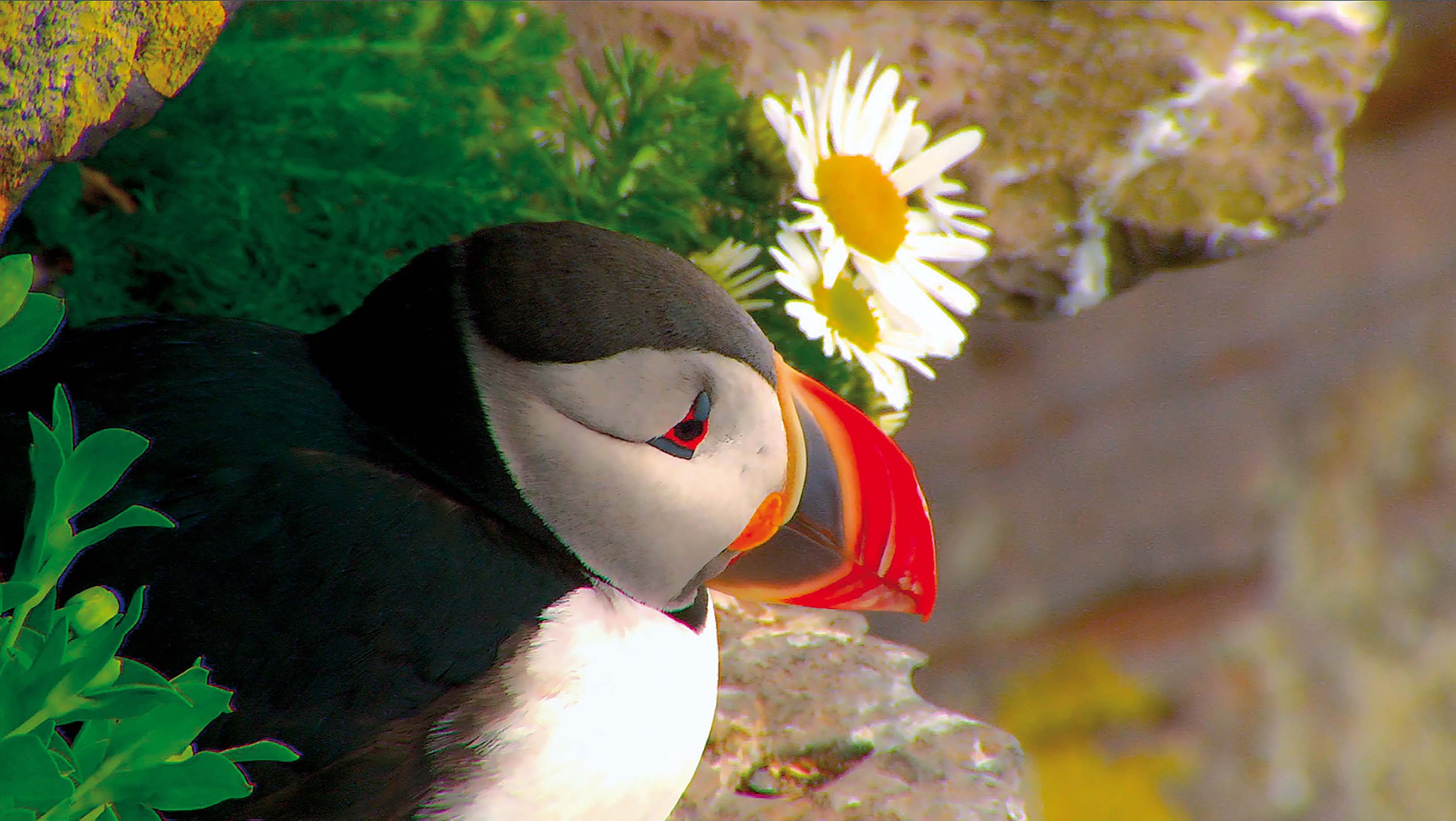 Szenenbild zu Island 63 66 N (Livekommentar)