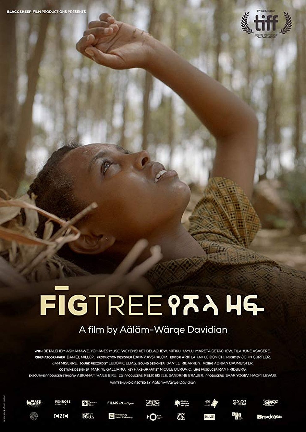 Filmplakat zu Fig Tree