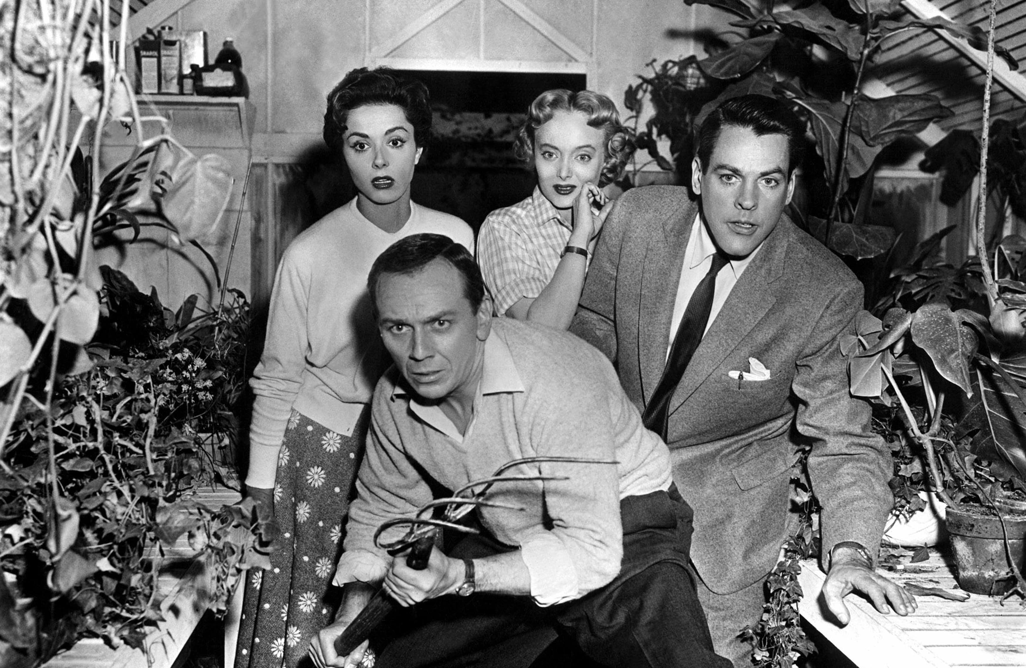 Szenenbild zu Invasion of the Body Snatchers / Die Dämonischen (1956)