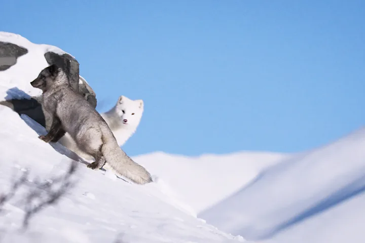 Szenenbild zu Die Abenteuer von Kina & Yuk