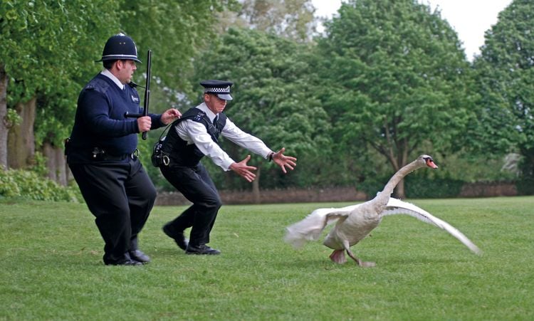 Szenenbild zu Hot Fuzz - Zwei abgewichste Profis