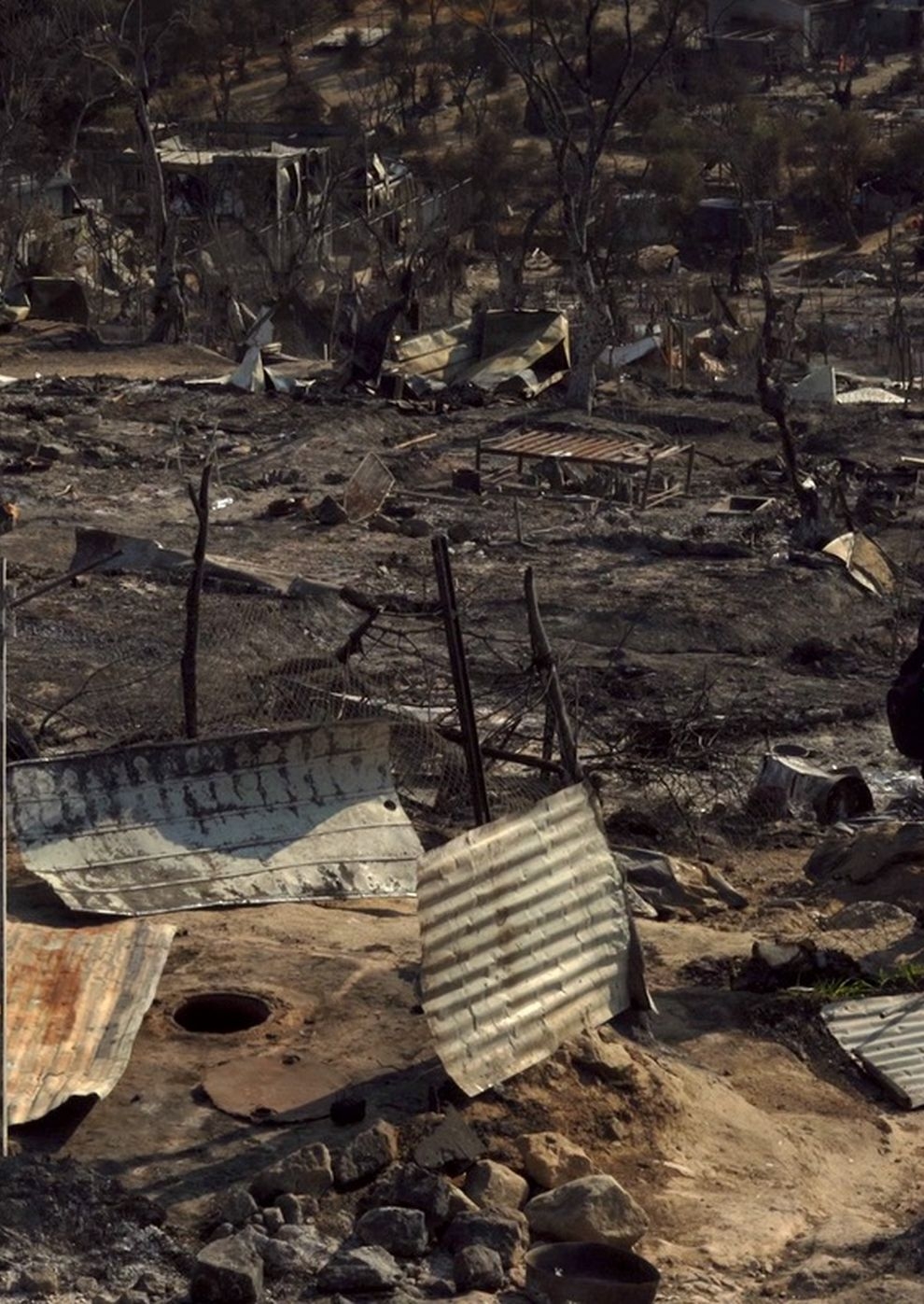 Filmplakat zu Limbo Morias Garden