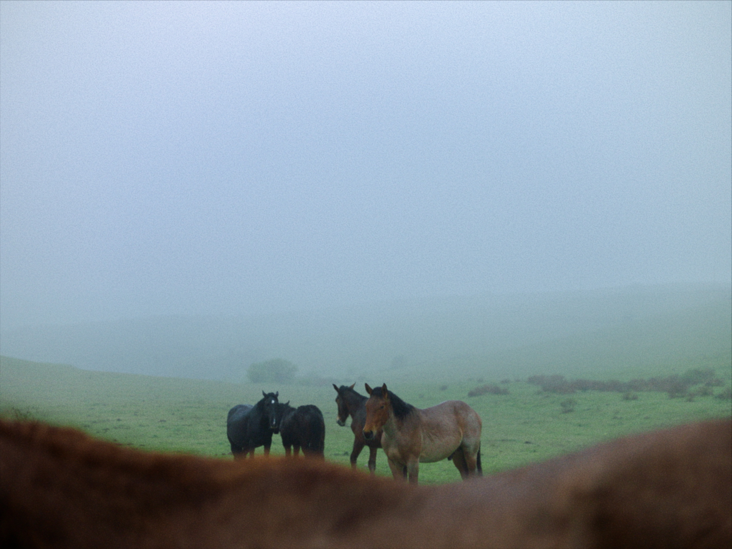 Szenenbild zu Stille Beobachter