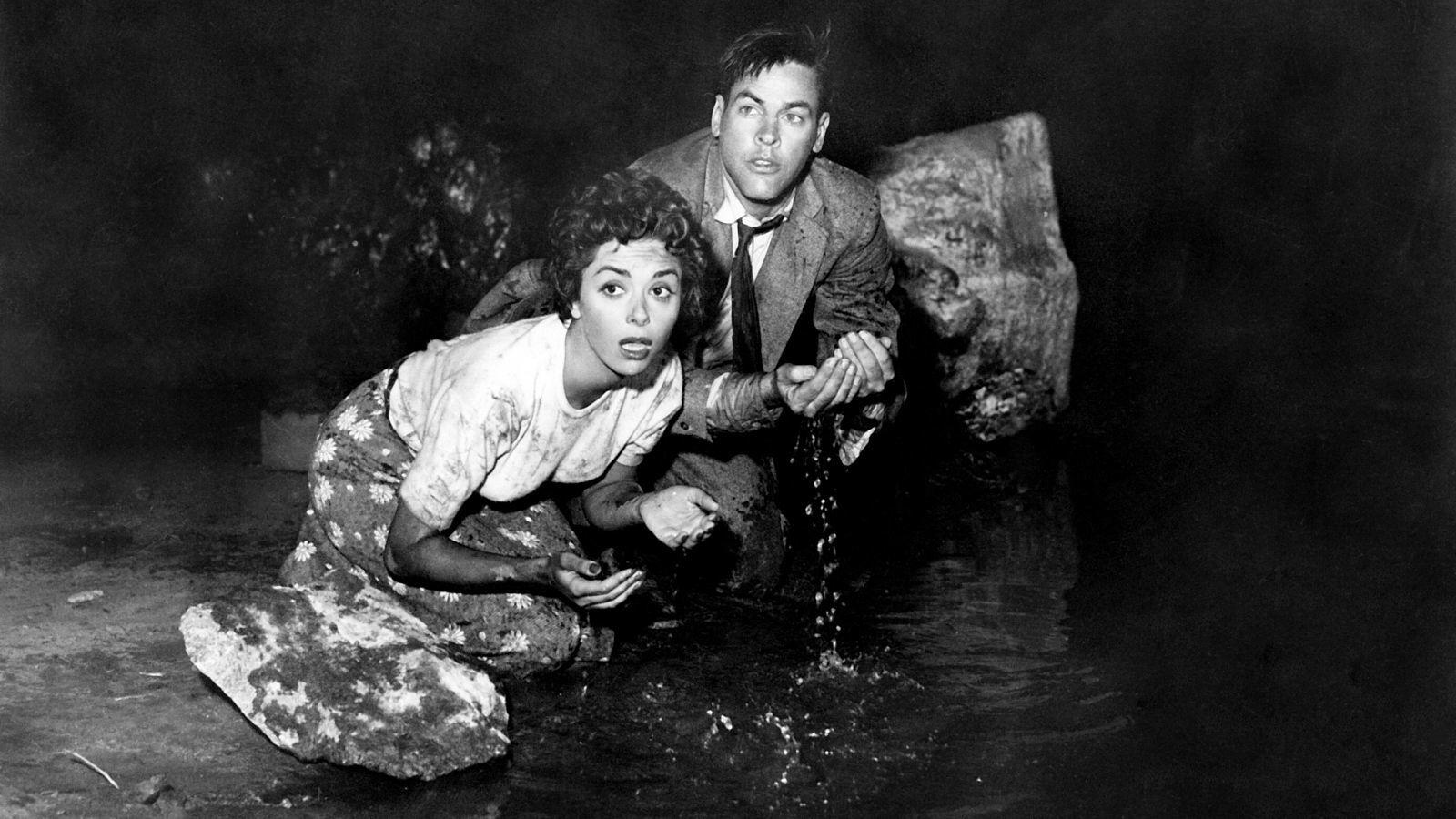 Szenenbild zu Invasion of the Body Snatchers / Die Dämonischen (1956)