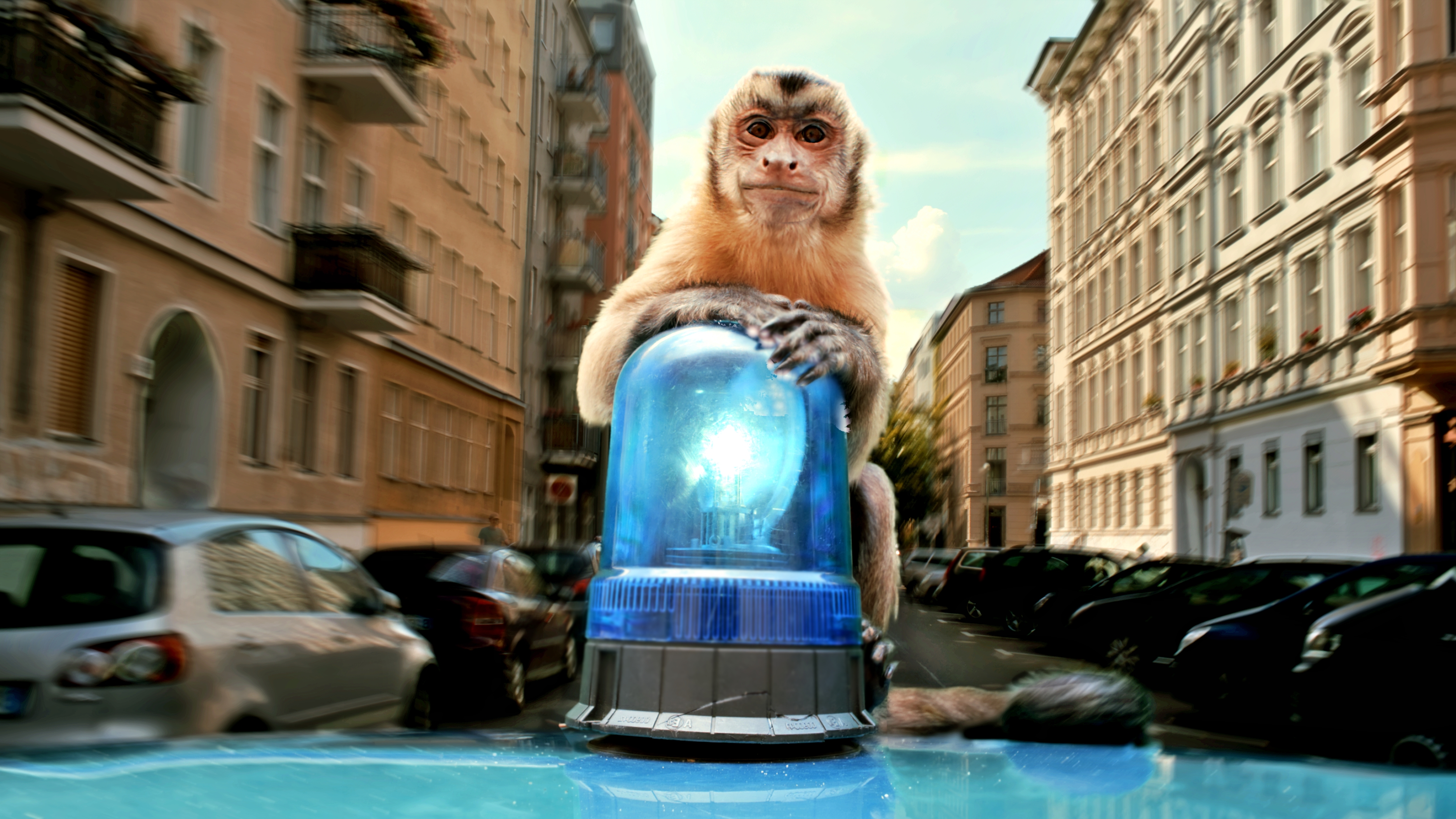 Szenenbild zu Akiko, der fliegende Affe