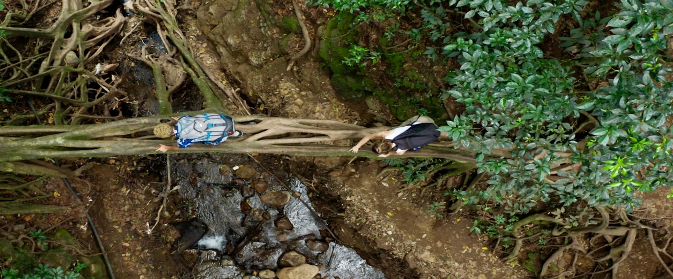 Szenenbild zu La Pura Vida