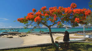 Szenenbild zu Mauritius - Die Fernwehmacher unterwegs im Tropenparadies