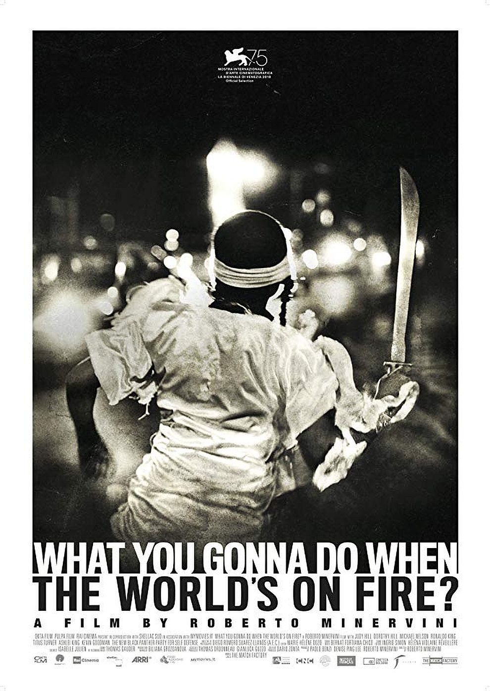 Filmplakat zu What You Gonna Do When the World's on Fire?