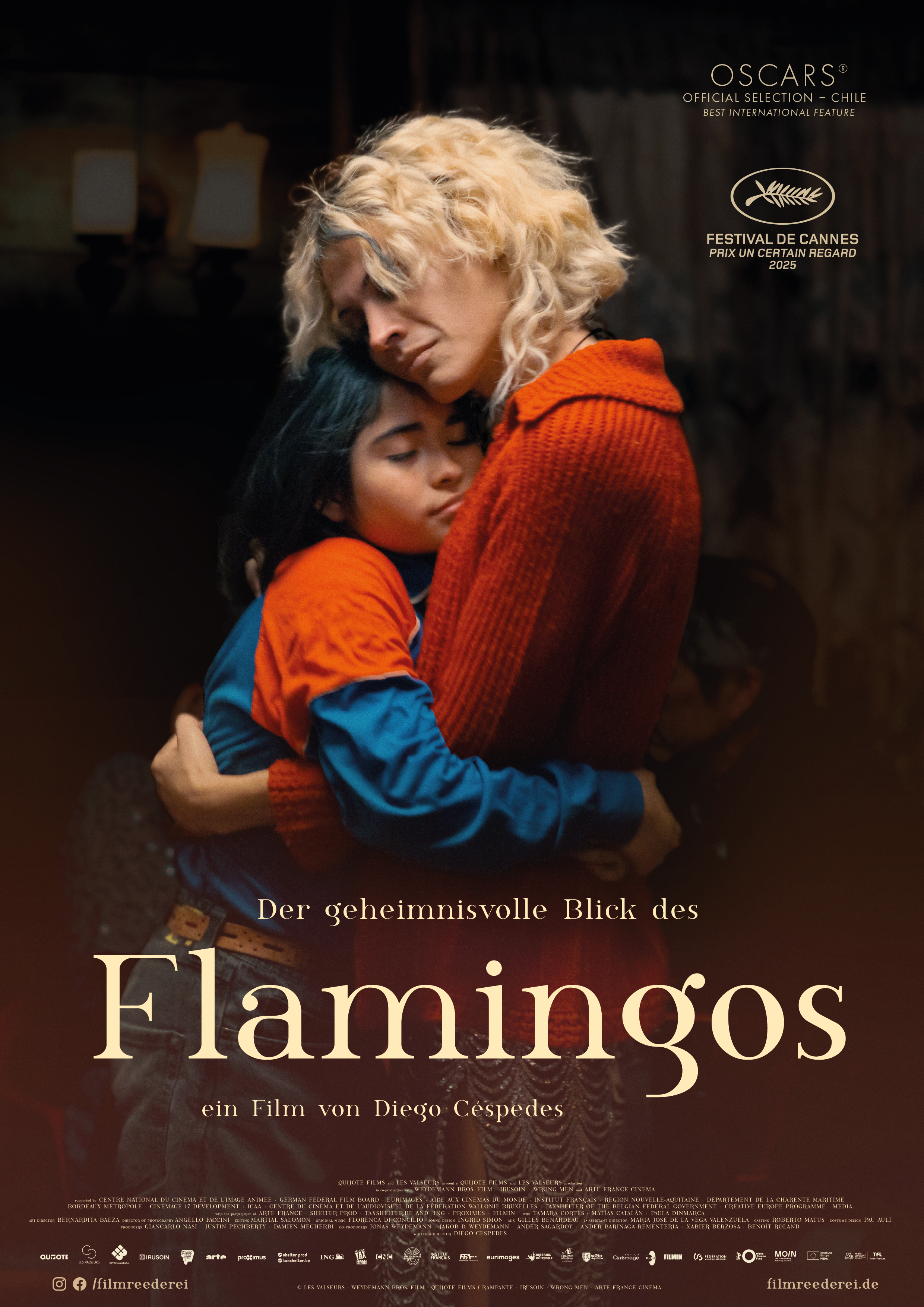 Filmplakat zu Der geheimnisvolle Blick des Flamingos