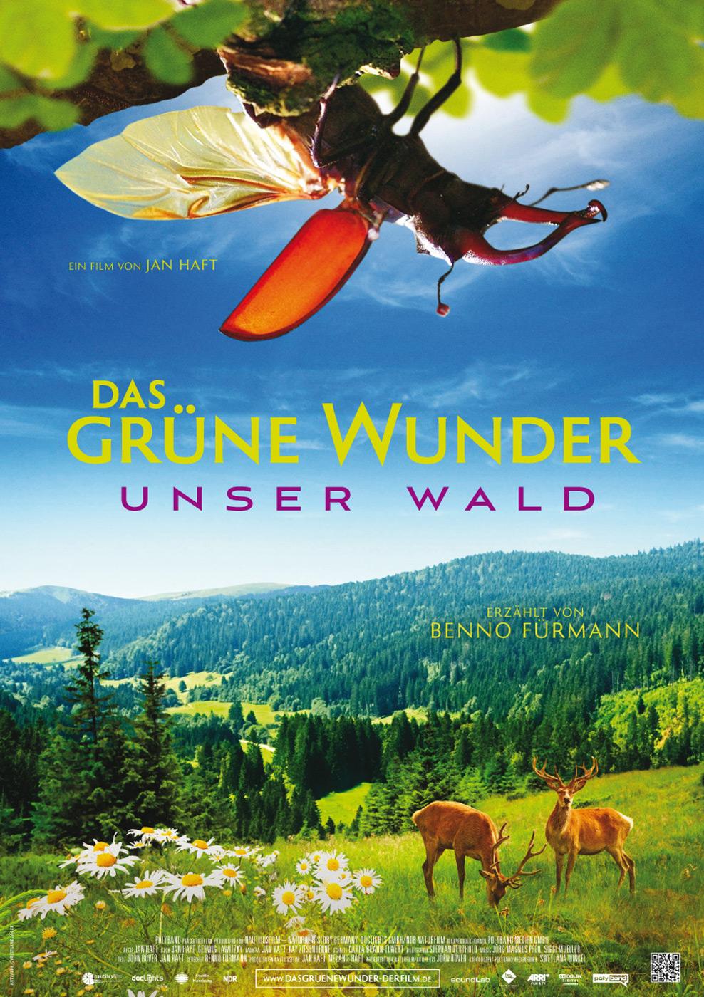 Filmplakat zu Unser Wald - Das grüne Wunder