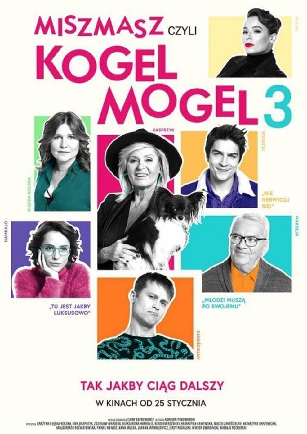 Filmplakat zu Kogel Mogel 3