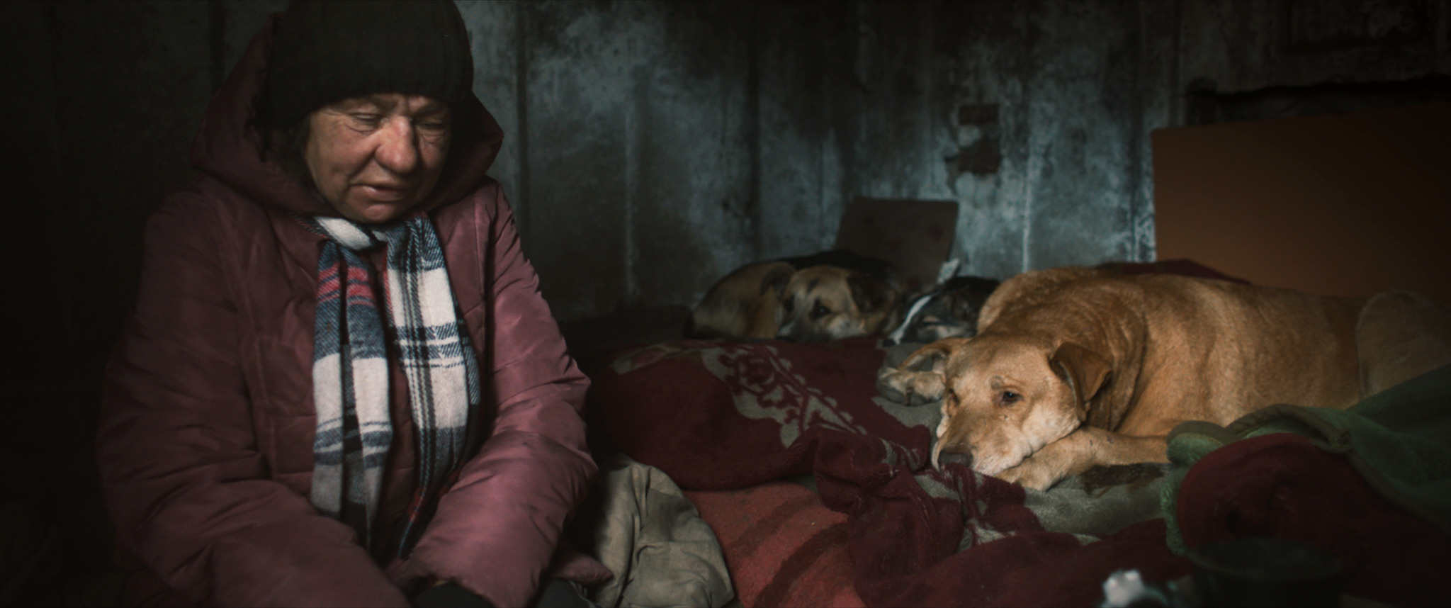 Szenenbild zu Dreaming Dogs