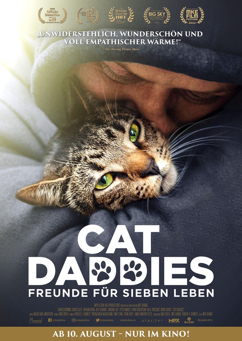 Filmplakat zu Cat Daddies - Freunde für sieben Leben