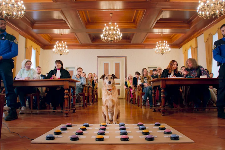 Szenenbild zu Hundschuldig